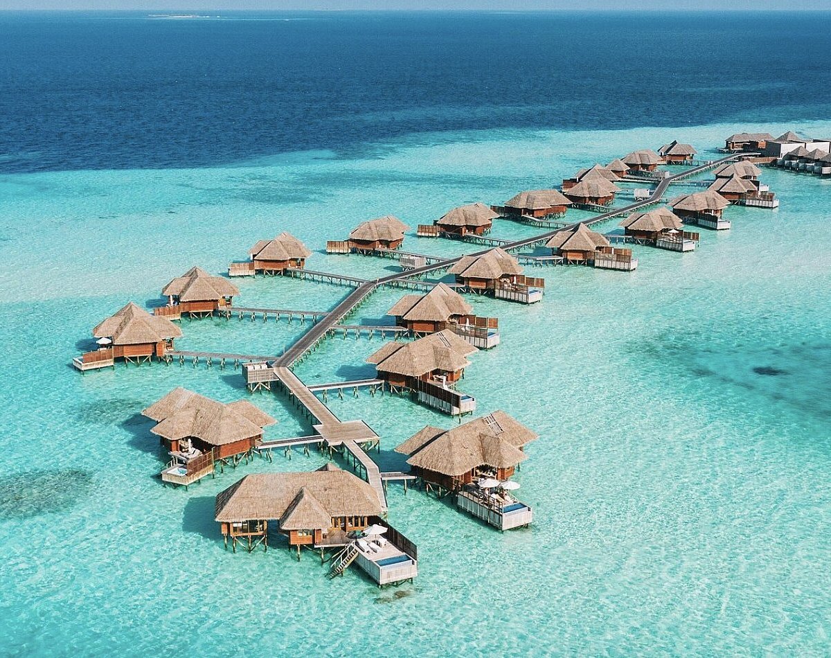 Maldive